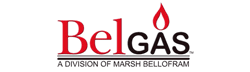 BelGAS-Logo-Line-Card